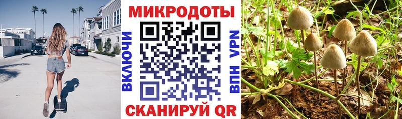 Псилоцибиновые грибы Psilocybine cubensis  Купить  Югорск 